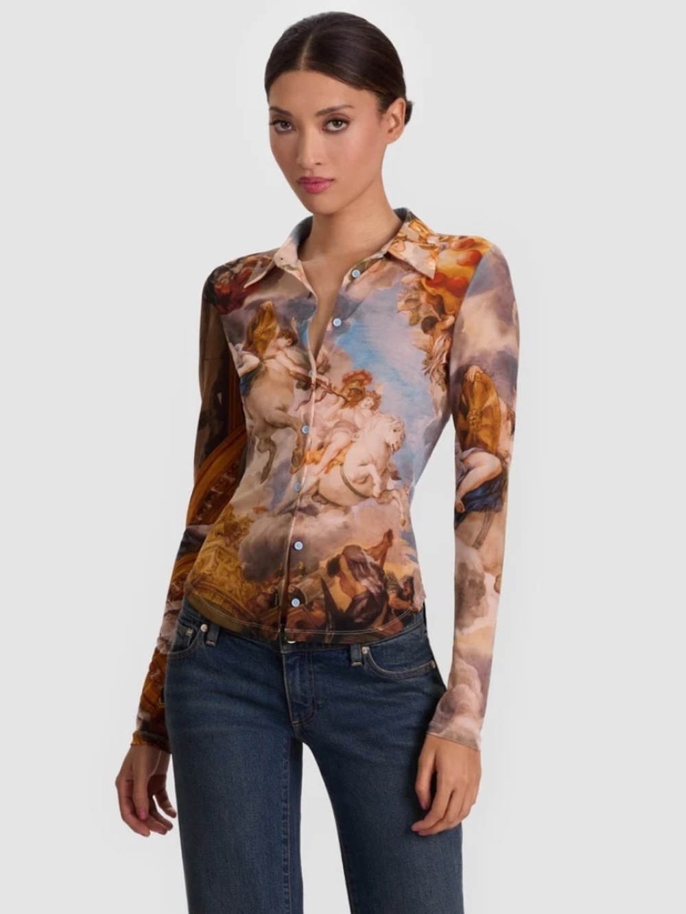 Alice + Olivia Jade Mesh Button Down Renaissance Fair size M